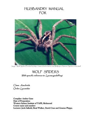 Husbandry Manual for Wolf Spiders
