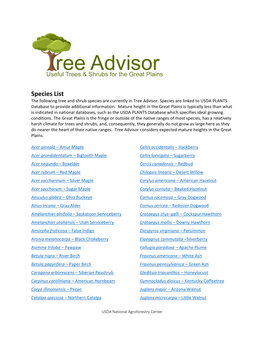 Species List the Following Tree and Shrub Species Are Currently in Tree Advisor