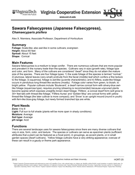 Sawara Falsecypress (Japanese Falsecypress), Chamaecyparis Pisifera