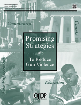 Promising Strategies to Reduce Gun Violence Foreword