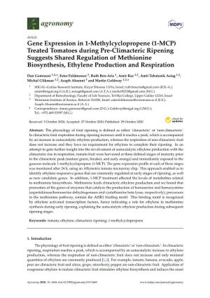 (1-MCP) Treated Tomatoes During Pre-Climacteric Ripening Suggests Shared Regulation of Methionine Biosynthesis, Ethylene Production and Respiration