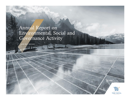 Annual Report on Environmental, Social and Governance Activity 2019 ESG REPORT Disclaimer/Risk Factors