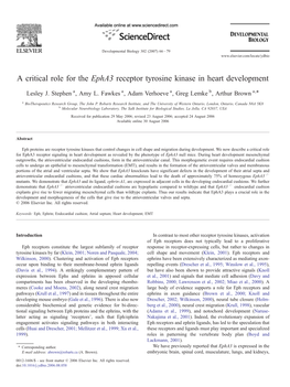 A Critical Role for the Epha3 Receptor Tyrosine Kinase in Heart Development ⁎ Lesley J