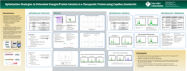 Optimization Strategies to Determine Charged Protein Variants in a Therapeutic Protein Using Capillary Isoelectric Jon S