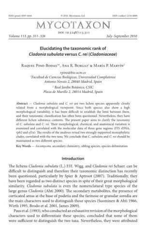 Elucidating the Taxonomic Rank of &lt;I&gt;Cladonia Subulata&lt;/I&gt; Versus &lt;I