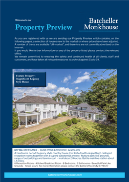 Property Preview