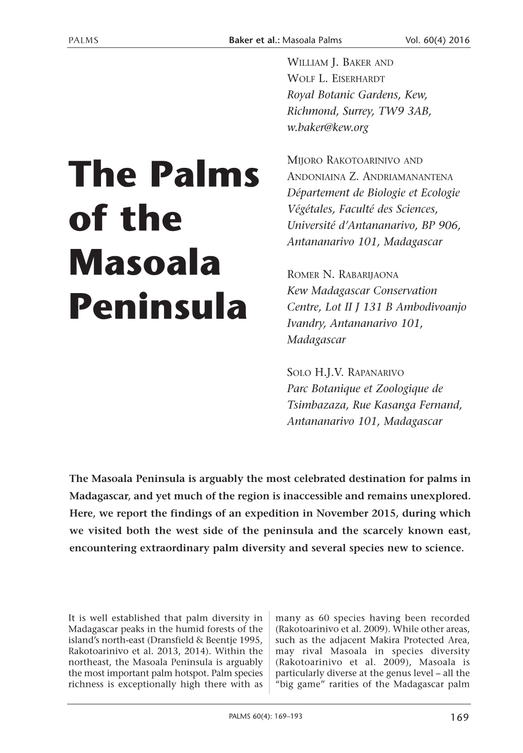 The Palms of the Masoala Peninsula