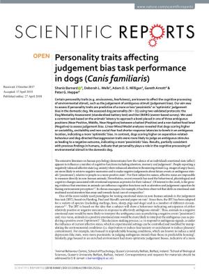 Personality Traits Affecting Judgement Bias Task Performance in Dogs
