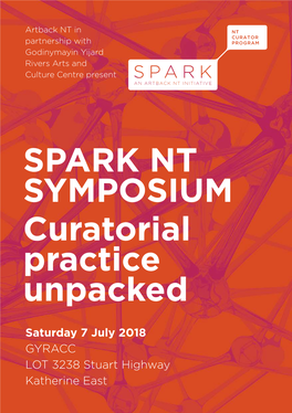 SPARK NT SYMPOSIUM Curatorial Practice Unpacked