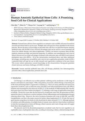 Human Amniotic Epithelial Stem Cells: a Promising Seed Cell for Clinical Applications
