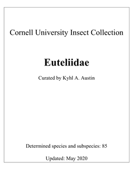 Euteliidae & Nolidae