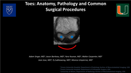 Toes: Anatomy, Pathology and Common Surgical Procedures