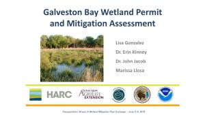 Wetland Loss in the Lower Galveston Bay Watershed