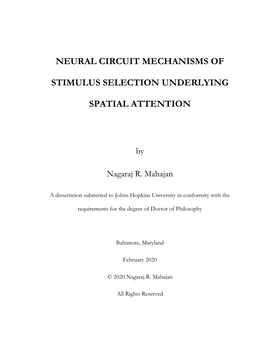 Neural Circuit Mechanisms of Stimulus Selection Underlying Spatial Attention