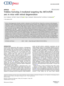 Tribbles Homolog 3-Mediated Targeting the AKT/Mtor Axis in Mice with Retinal Degeneration ✉ Irina V