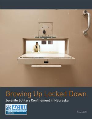 Growing up Locked Down: Juvenile Solitary Confinement in Nebraska ACLU of Nebraska | 3 Dylan