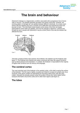 The Brain and Behaviour