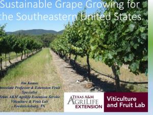 Sustainable Grape Growing for the Southeastern United States