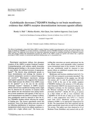 Cyclothiazide Decreases [3H]AMPA Binding to Rat Brain Membranes: Evidence That AMPA Receptor Desensitization Increases Agonist Affinity