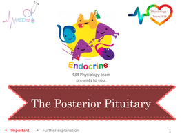 The Posterior Pituitary