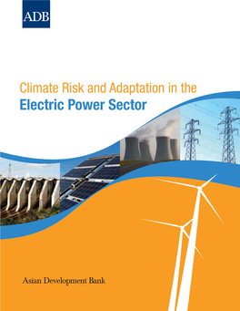 Climate Risk and Adaptation in the Electric Power Sector