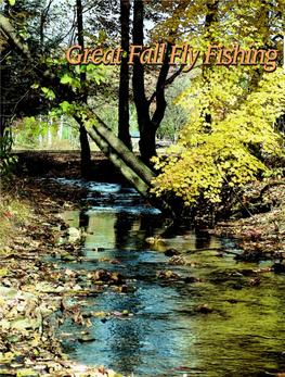 Great Fall Fly Fishing Memories by Charles R. Meck