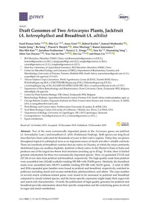 Draft Genomes of Two Artocarpus Plants, Jackfruit (A. Heterophyllus) and Breadfruit (A