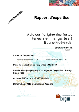 Rapport D'expertise