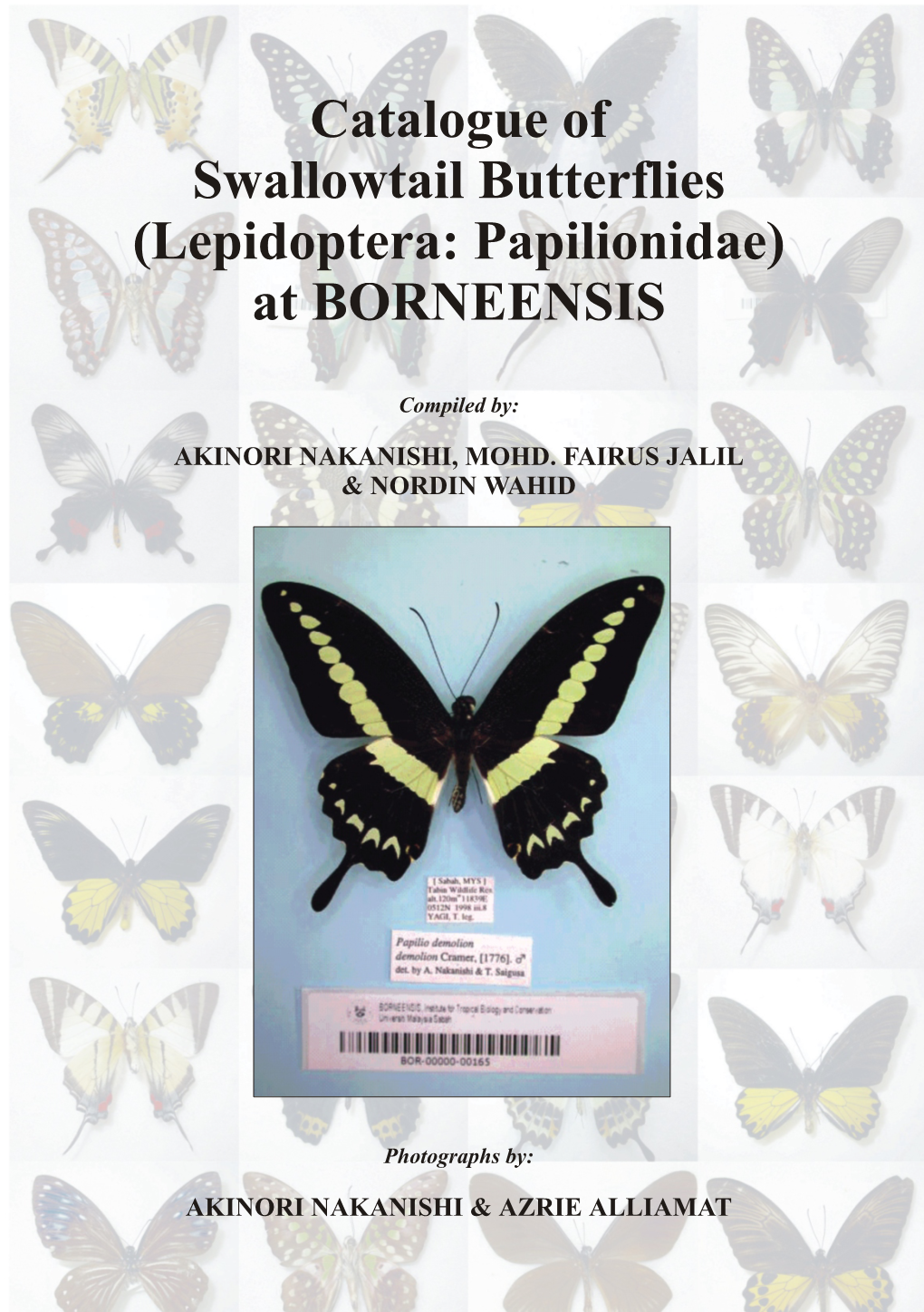 Catalogue of Swallowtail Butterflies (Lepidoptera: Papilionidae) at BORNEENSIS