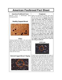 American Foulbrood Fact Sheet