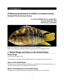 Cichlasoma Paranaense (A Cichlid, No Common Name) Ecological Risk Screening Summary