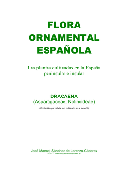 DRACAENA (Asparagaceae, Nolinoideae)