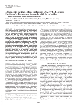 Synuclein in Filamentous Inclusions of Lewy Bodies From