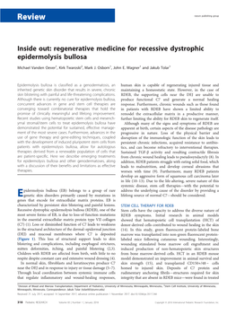 Inside Out: Regenerative Medicine for Recessive Dystrophic Epidermolysis Bullosa