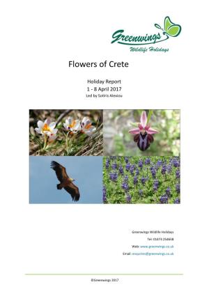 Flowers of Crete 2017 Holiday Report