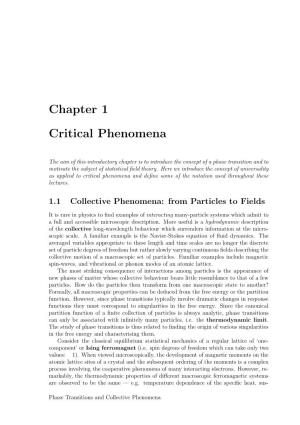 Chapter 1 Critical Phenomena