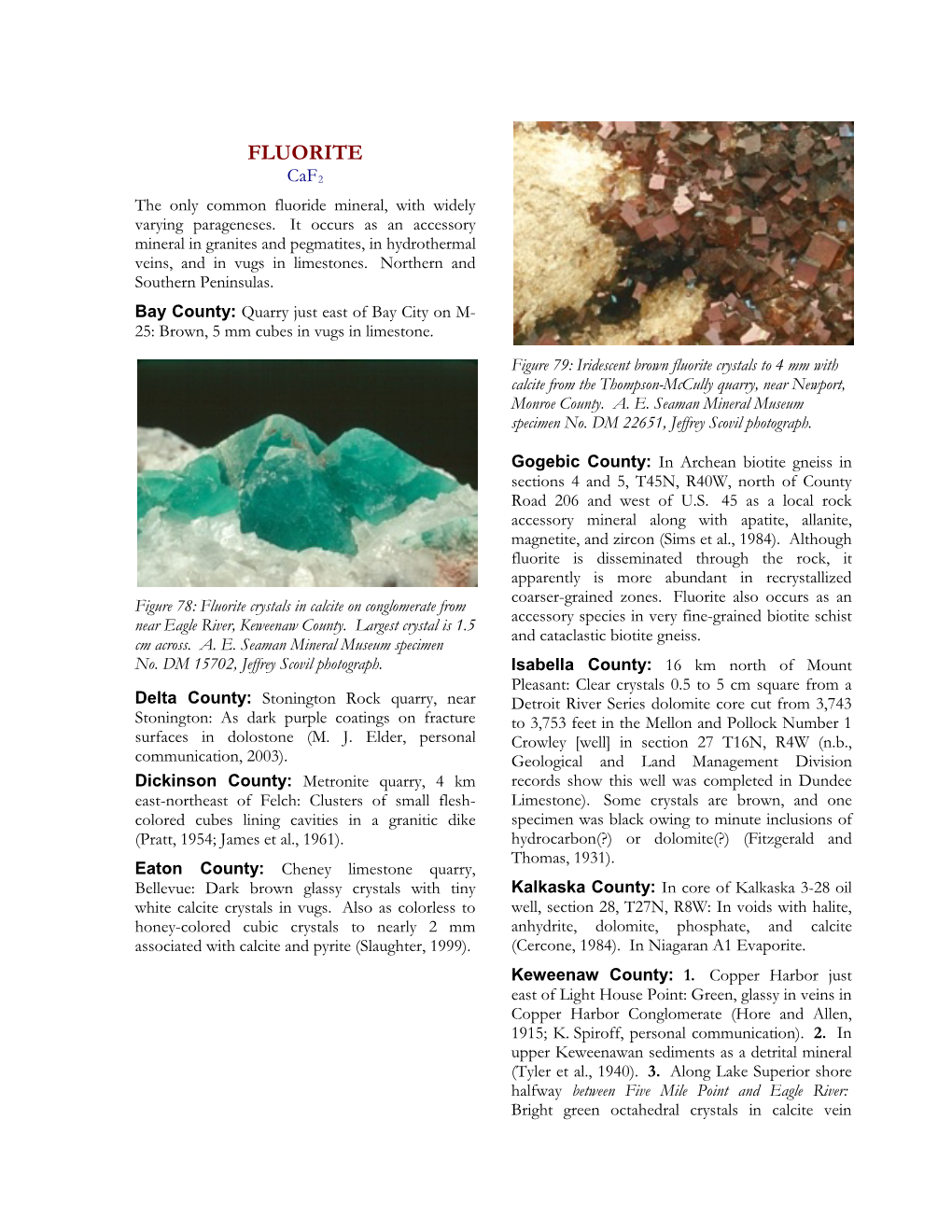 FLUORITE Caf2 the Only Common Fluoride Mineral, with Widely Varying Parageneses