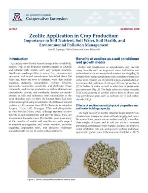 Zeolite Application in Crop Production: Importance to Soil Nutrient, Soil Water, Soil Health, and Environmental Pollution Management Isaac K