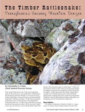 The Timber Rattlesnake: Pennsylvania’S Uncanny Mountain Denizen