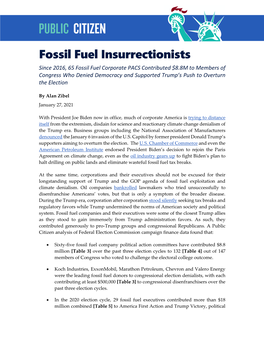 Fossil Fuel Insurrectionists