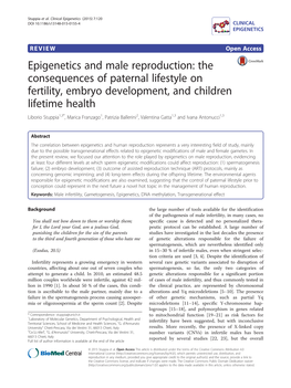 Epigenetics and Male Reproduction: the Consequences of Paternal