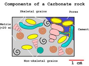 Carbonate Classification