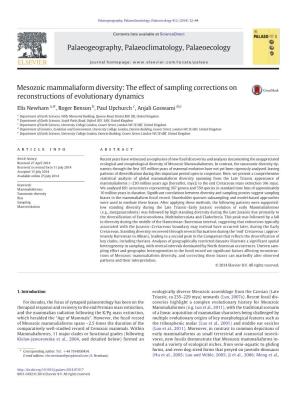 Mesozoic Mammaliaform Diversity: the Effect of Sampling Corrections on Reconstructions of Evolutionary Dynamics