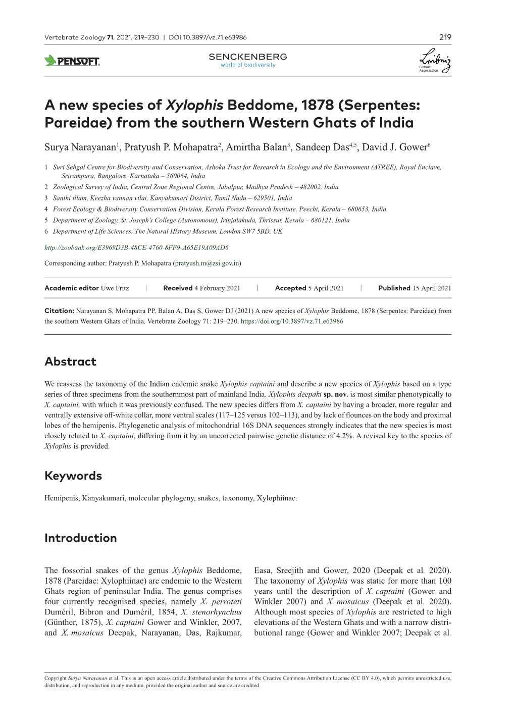 A New Species of Xylophis Beddome, 1878 (Serpentes: Pareidae) from the Southern Western Ghats of India