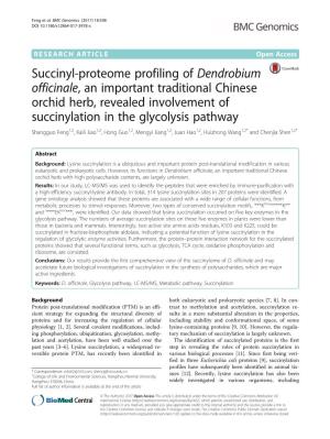Succinyl-Proteome Profiling of Dendrobium Officinale, an Important Traditional Chinese Orchid Herb, Revealed Involvement of Succ