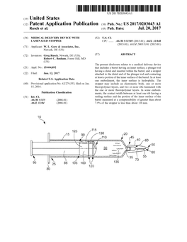 (12) Patent Application Publication (10) Pub. No.: US 2017/0203043 A1 Rusch Et Al