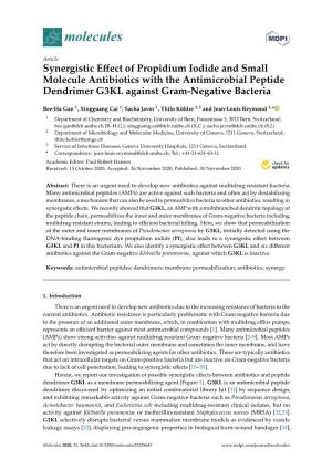 Synergistic Effect of Propidium Iodide and Small Molecule Antibiotics With