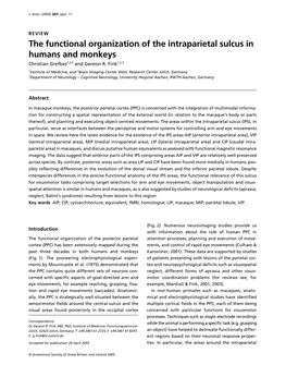 The Functional Organization of the Intraparietal Sulcus in Humans and Monkeys Christian Grefkes1,2,3 and Gereon R