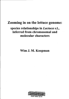 Zooming in on the Lettuce Genome: Species Relationships Inlactuca S