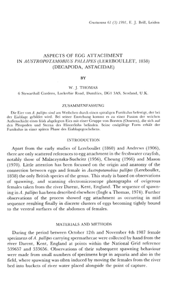 Aspects of Egg Attachment in Austropotamobius Pallipes (Lereboullet, 1858) (Decapoda, Astacidae)